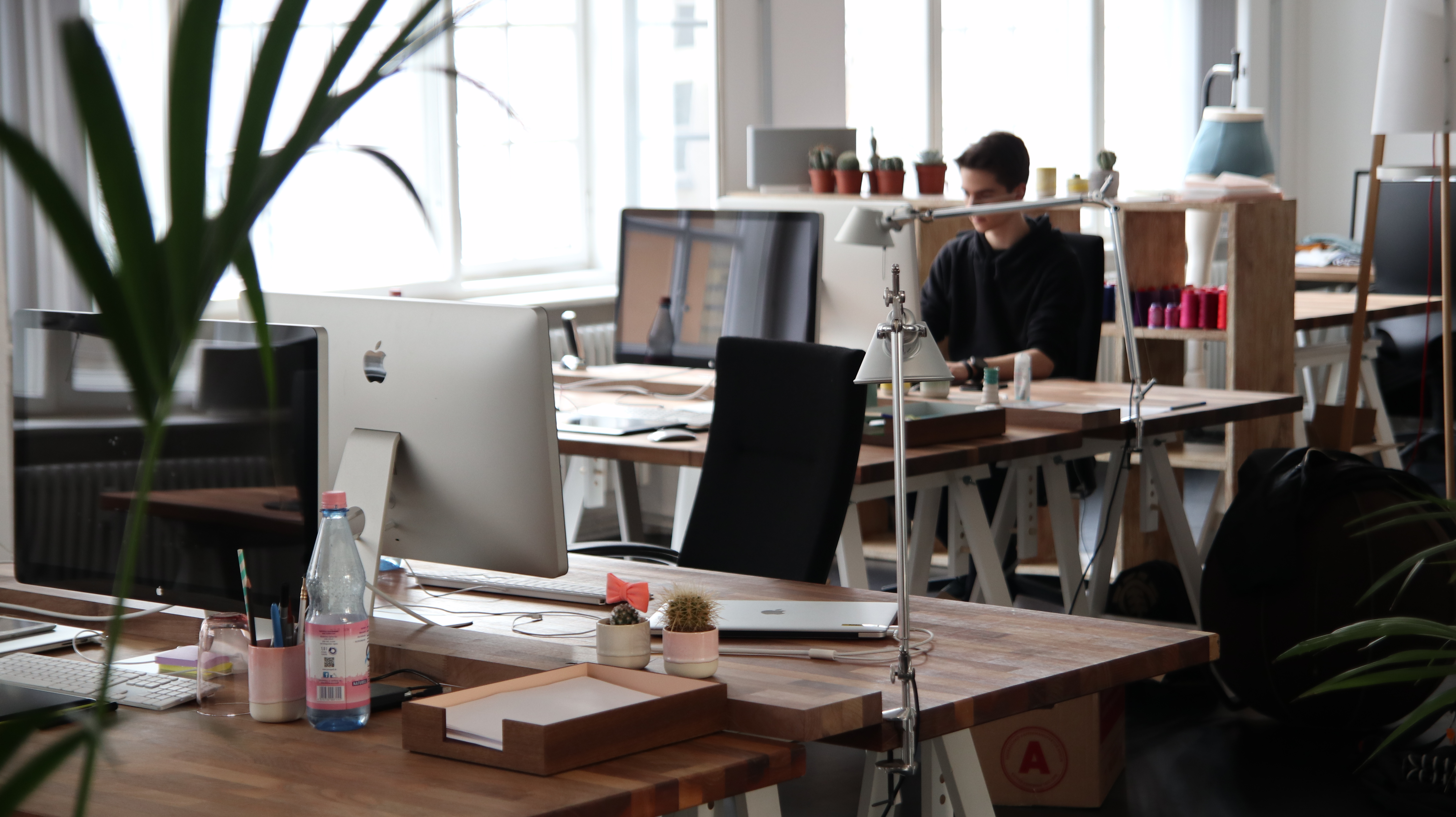 Coworking, una soluzione green per i freelance