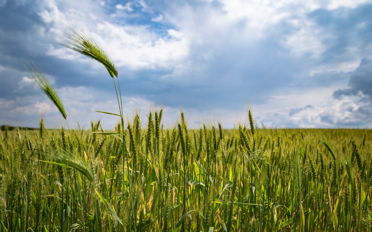 Livellatrice Laser per l'agricoltura